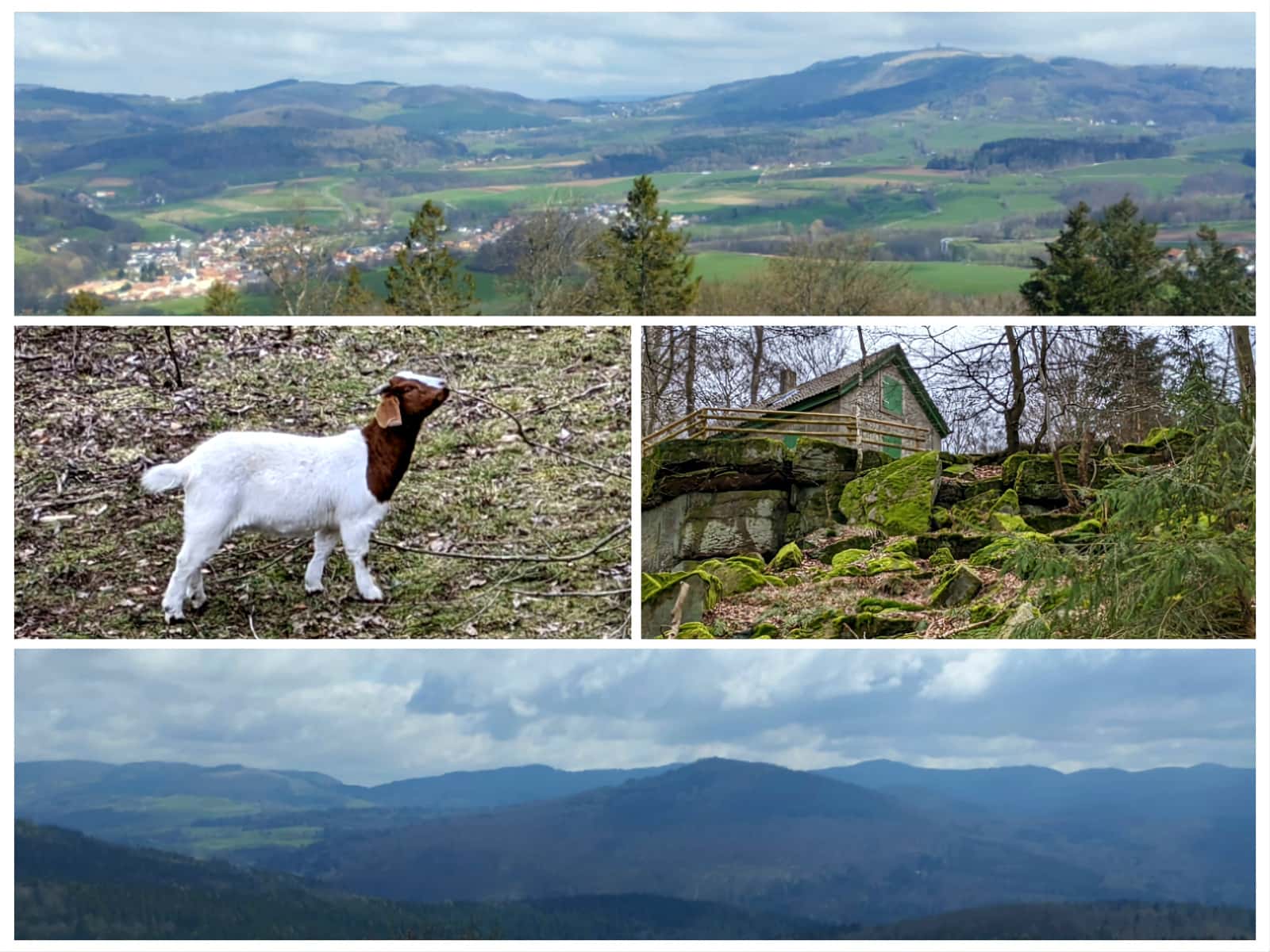 Bilderkollage mit Landschafts-Panorama, Waldhütte und Ziege vom Kloster Kreuzberg.