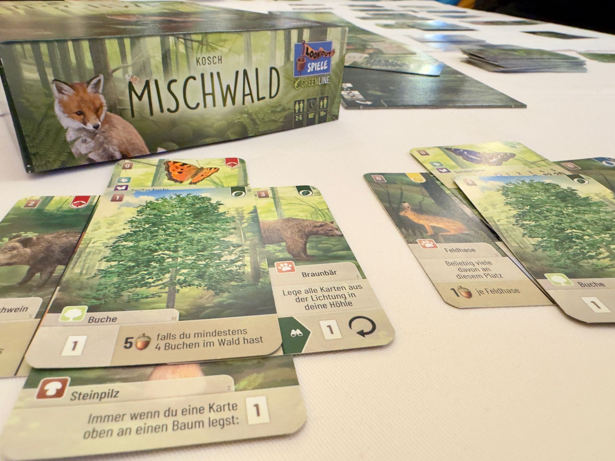 Eine Partie Mischwald. Zu sehen ist eine Kartenauslage eines Spielers. Unter einer der Baumkarten liegen jeweils an allen vier Seiten je eine Tier- oder Pflanzenkarte. Im Hintergrund ist die Spiele-Schachtel mit Titel, Wald und Fuchs zu sehen.