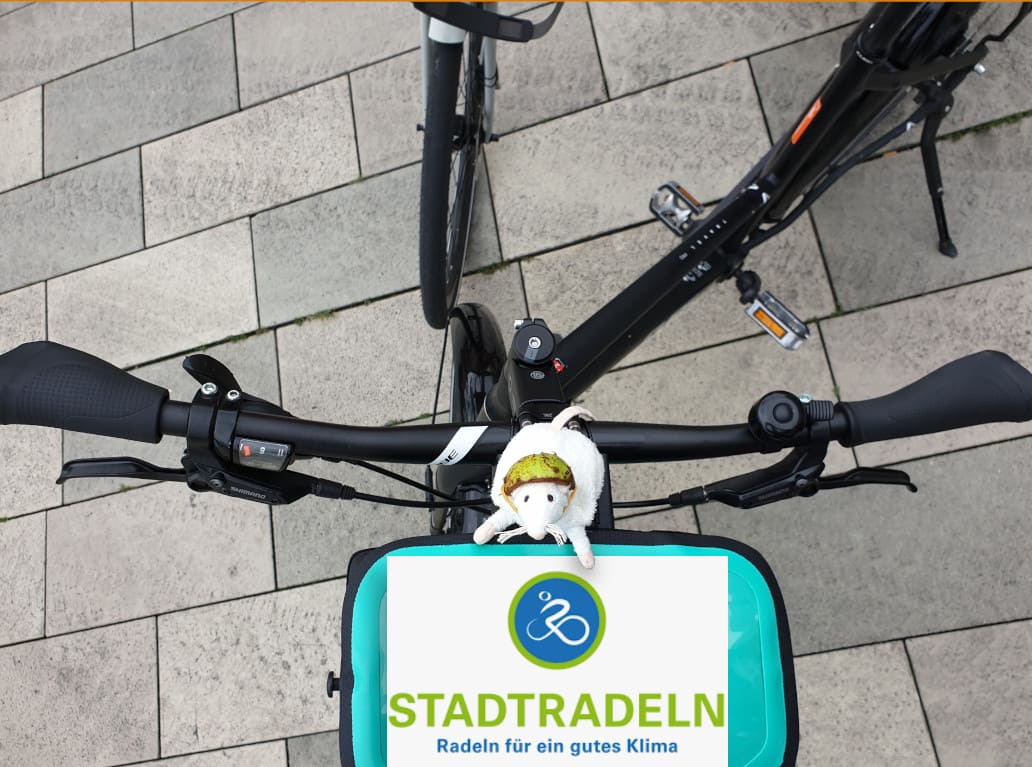 Ein schwarzer Fahrradlenker mit Lenkertasche, auf dem das Logo des Stadtradeln zu sehen ist. Auf dem Lenker sitzt eine kleine weiße Plüsch-Maus mit Kastanienschale als Fahrradhelm und schaut fragend in die Kamera.