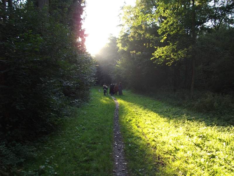 naechstes