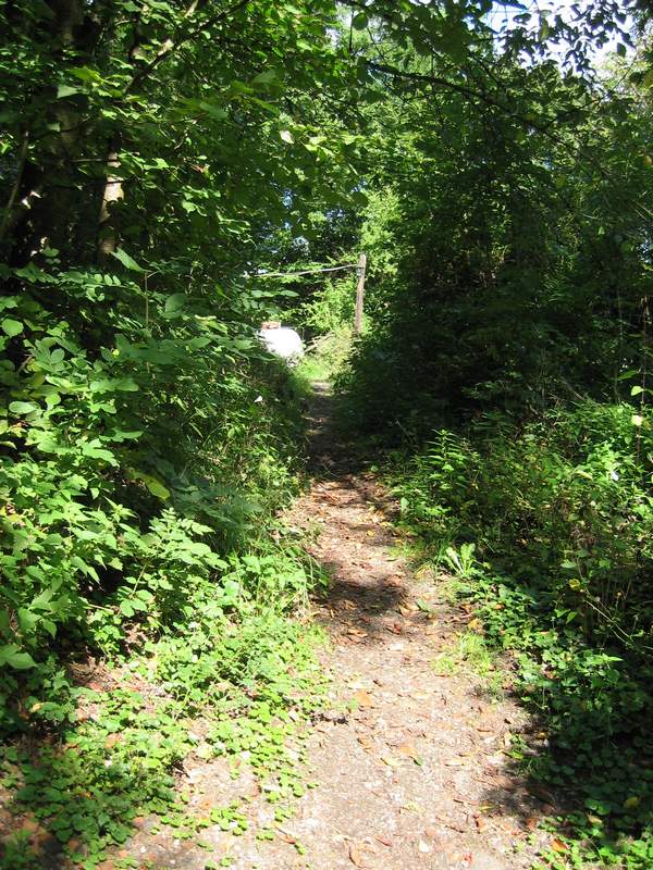 naechstes