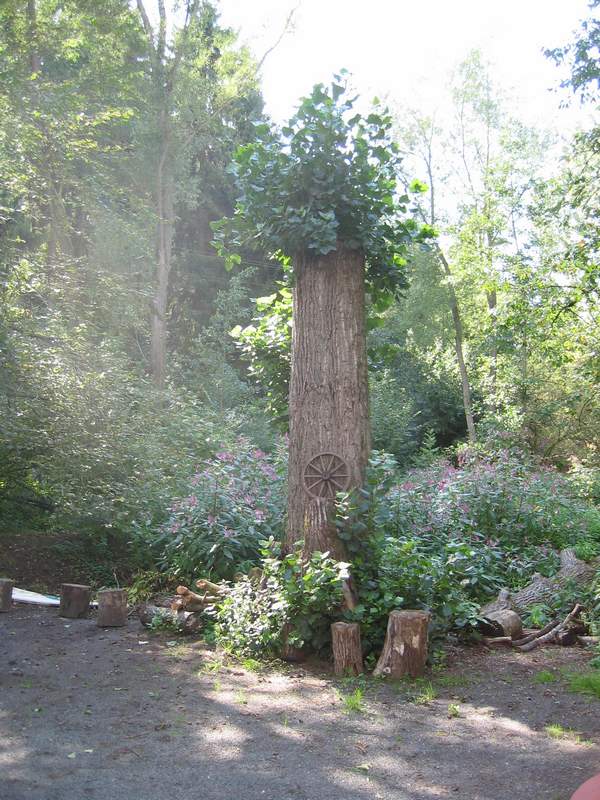 naechstes