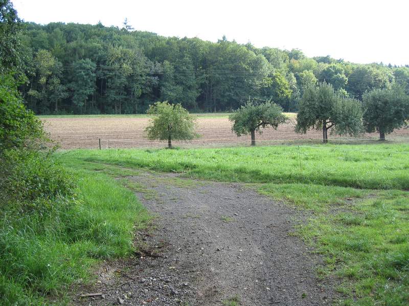naechstes