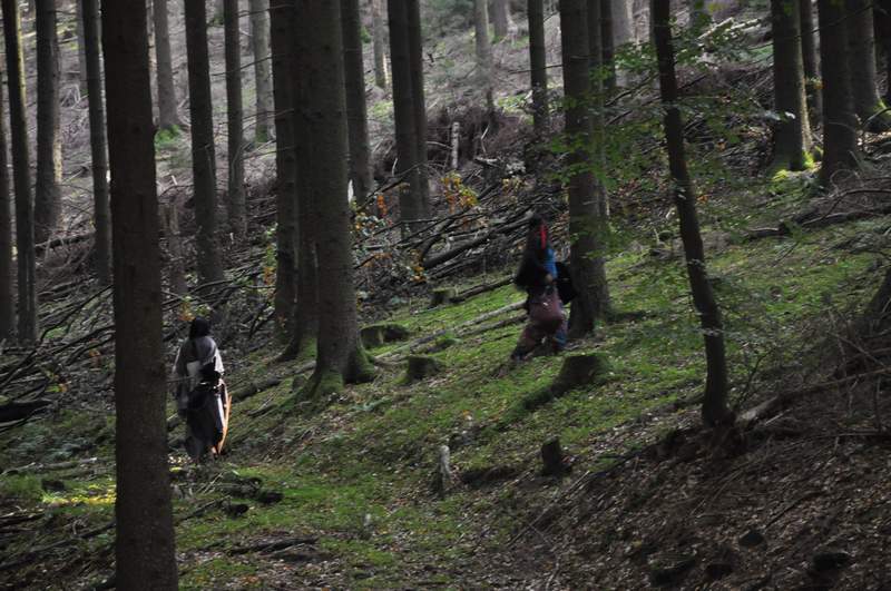 naechstes